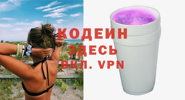 гидра Богородицк