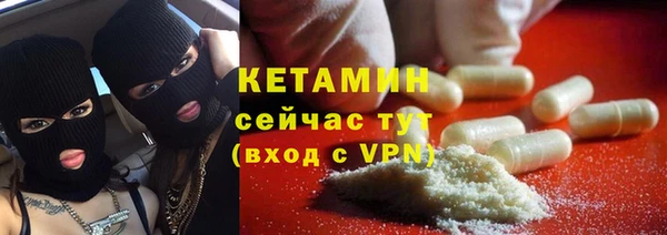 гидра Богородицк