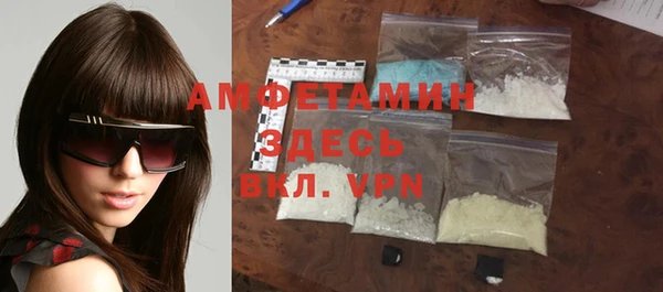 гидра Богородицк