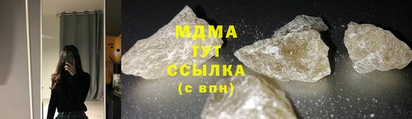 гидра Богородицк