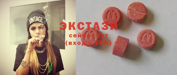 гидра Богородицк