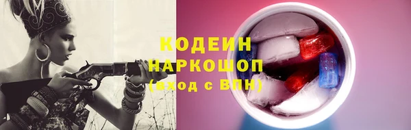 гидра Богородицк