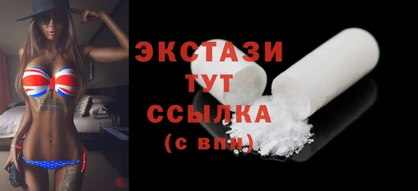 гидра Богородицк
