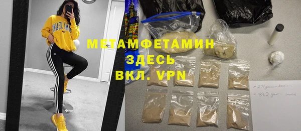 гидра Богородицк